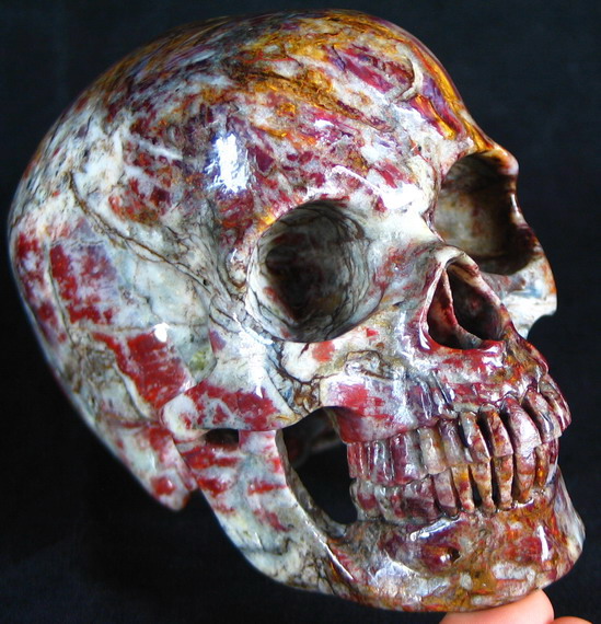 Pietersite Skull removes beliefs and conditioning imposed by other people 1414